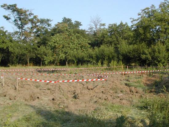 dscn1135.jpg